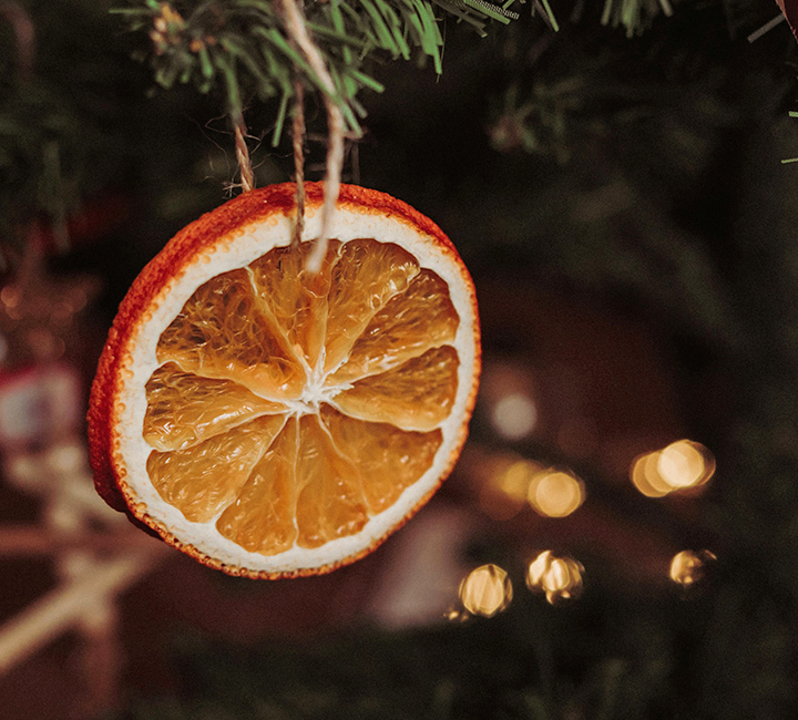 Bild 2 Torkad Apelsin (4)